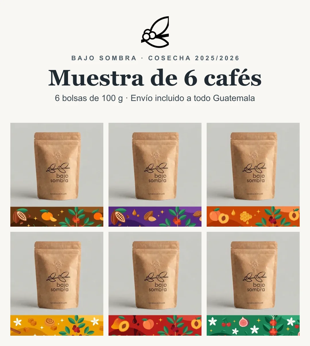 Bolsa de café Muestra de 6 cafés de Alta y Baja Verapaz, 6 bolsas de 100 g, Bajo Sombra