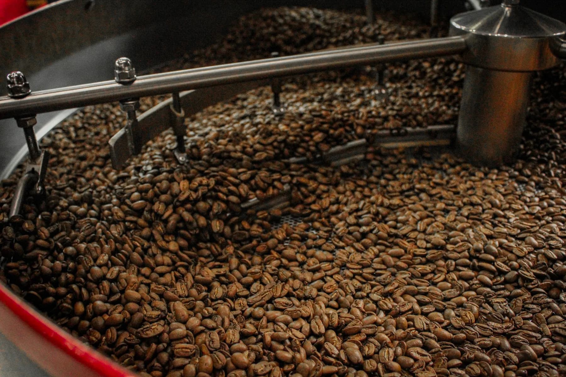 Café recién tostado girando en el enfriador de la tostadora