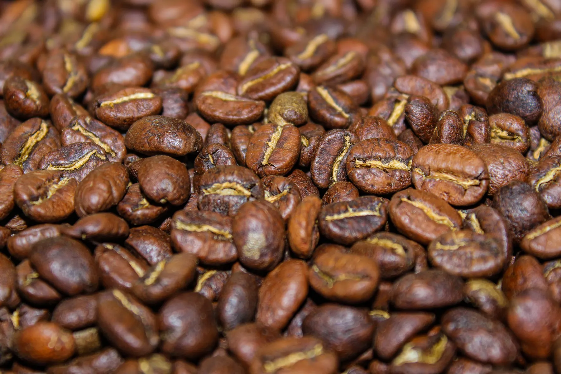 Primer plano de granos de café tostados, con la hendidura central visible