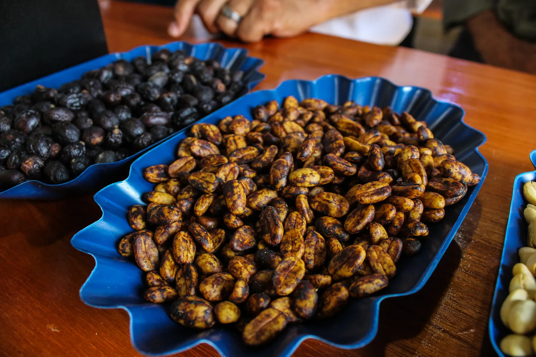 Muestras de grano tostado en bandejas para comparar perfiles